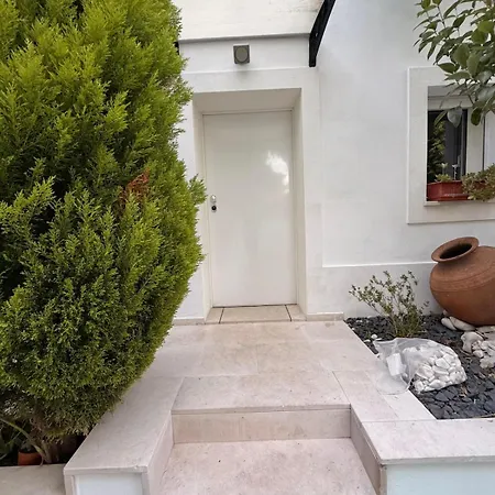 Charming Vintage In Belem Villa